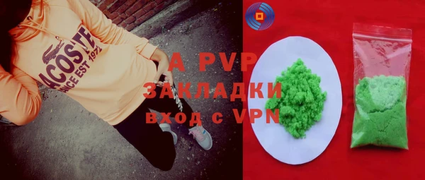 прущие грибы Вяземский