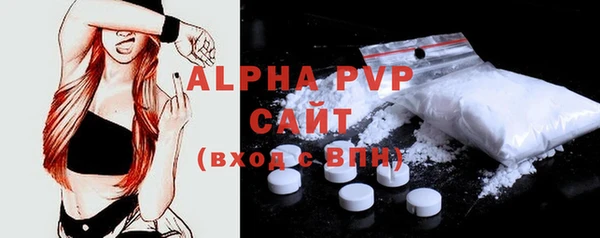 прущие грибы Вяземский