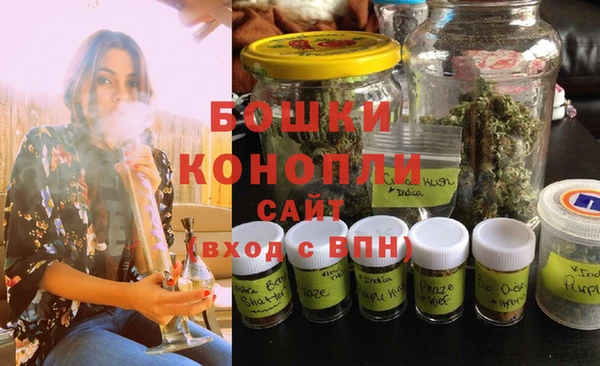 apvp Вязьма