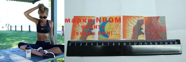 прущие грибы Вяземский