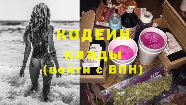 прущие грибы Вяземский