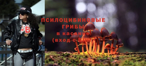 apvp Вязьма